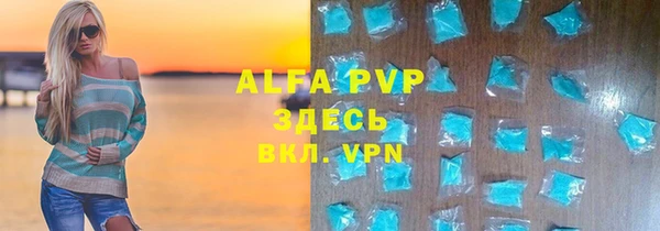 гашик Шали