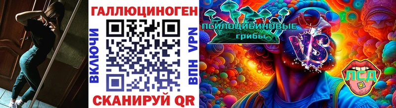 наркошоп  Питкяранта  Галлюциногенные грибы Psilocybine cubensis 